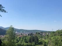 Blick auf den Ortsteil Lautenbach
