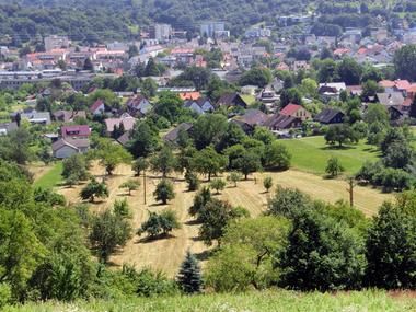 Streuobstwiesen auf der Weinau im Hintergrund die Stadt Gernsbach