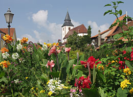 Bunt bepflanzter Blumentopf, im Hintergrund die Liebfrauenkirche