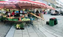 Frische Vielfalt am Obst- und Gemüsestand auf dem Gernsbacher Wochenmarkt
