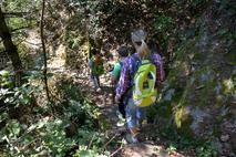 Kinder mit Rucksäcken wandern auf einem Waldweg