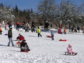 Rodeln Kinder und Erwachsene beim Rodeln am Rodelhang Kaltenbronn