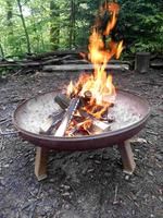 20250213 Spielwald Gernsbach.3