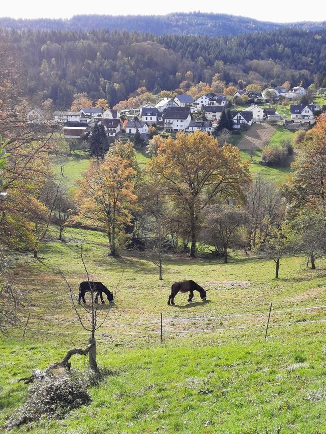 Weinau Gernsbach Weinau Gernsbach