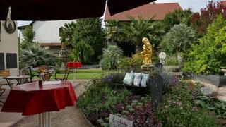 Gartencafé und Ausstellung mit Pflanzen und Gartendeko um goldene Figur