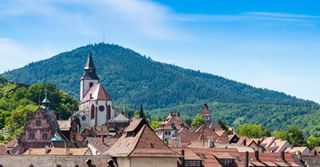 Blick auf die Dächer der  Altstadt.