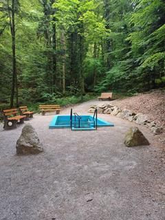 Die Wassertretstelle in Lautenbach ist über den Sommer wieder in Betrieb. Kneippanlage mit Sitzbänken und Granitfindlingen im Wald