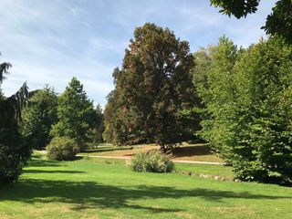 Bäume, Wiesen, Bachlauf, Grünflachen udn ein Spazierweg im Park