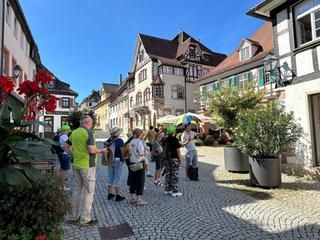 Ein Stadtführer führt eine Personengruppe durch die Altstadt.