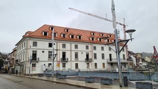 Ein Gebäude wird saniert, seitlich steht ein Mobilkran.