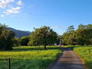 Wanderweg