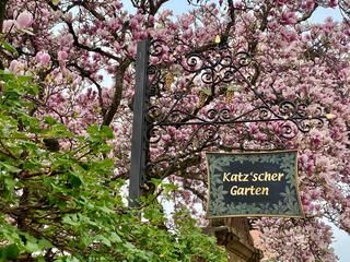 Magnolienblüten über dem Schild "Katz'scher Garten"