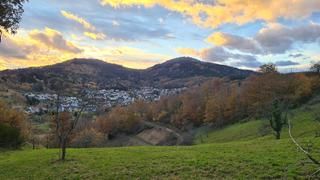 Landschaftsbild: bewaldete Hügel, Häuser, Bäume
