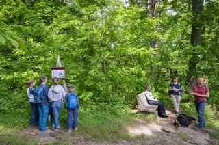 Wandern und eintauchen in eine Welt voller Mythen, das geht auf dem Sagenweg Kinder lesen ein Schild im Wald, daneben Erwachsene um eine Sitzbank