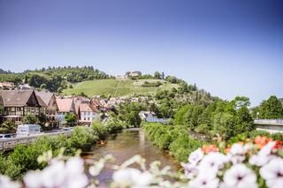 Blick auf die Murg, das Murgufer und auf Schloss Eberstein, vorne Blumen