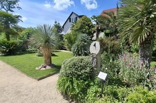Katzscher Garten Palmen und Bäume im barocken Garten