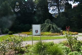 Der Clemm'sche Garten, eine kleine Parkanlage 