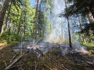 Bei anhaltend hohen Temperaturen erhöht sich die Waldbrandgefahr. Eine kleine Waldfläche brennt