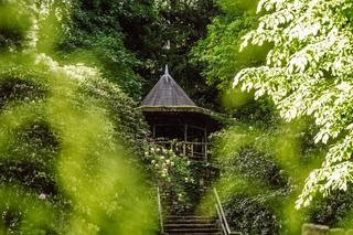 Pflanzen geben den Blick frei auf eine Treppe und einen Holzpavillon