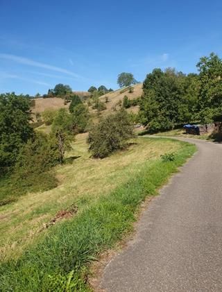 Wanderweg im Igelbachtal Wanderweg im Igelbachtal