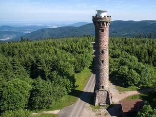 Hohlohturm auf dem Kaltenbronn Der Hohlohturm inmitten von Wald, im Hintergrund das Murgtal