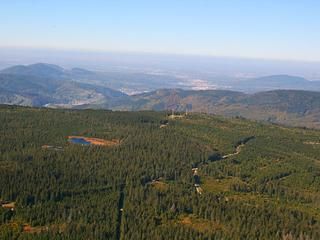 Luftaufnahme des Kaltenbronn Blick auf den Wildsee umgeben von Wald.
