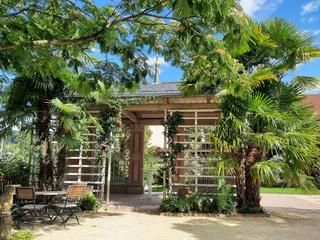Das Pavillon ist von meterhohen Palmen umgeben. Pavillon, Palmen, Sitzgruppe im Katz'sche Garten