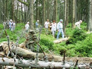 Eine Gruppe von Menschen im verwilderten Bannwald