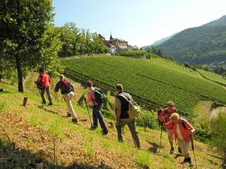 Unterwegs auf dem Ortenauer Weinpfad Wanderer erklimmen den Weinberg, im Hintergrund Schloss Eberstein