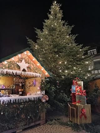 Menschen betrachten die Ziegen in der Lebendigen Krippe beim Kornhaus