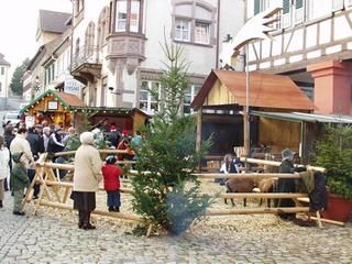 Lebendige Krippe beim Kornhaus Menschen betrachten die Ziegen in der Lebendigen Krippe beim Kornhaus