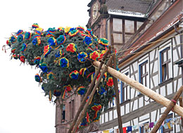 Der bunt geschmückte Narrenbaum wird auf dem Marktplatz aufgestellt