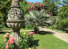 blühende Rosen, Skulptur und Palmen im Katz'schen Garten