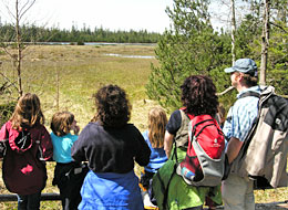 Besucher auf dem Holzbolenweg beim Hohlohsee