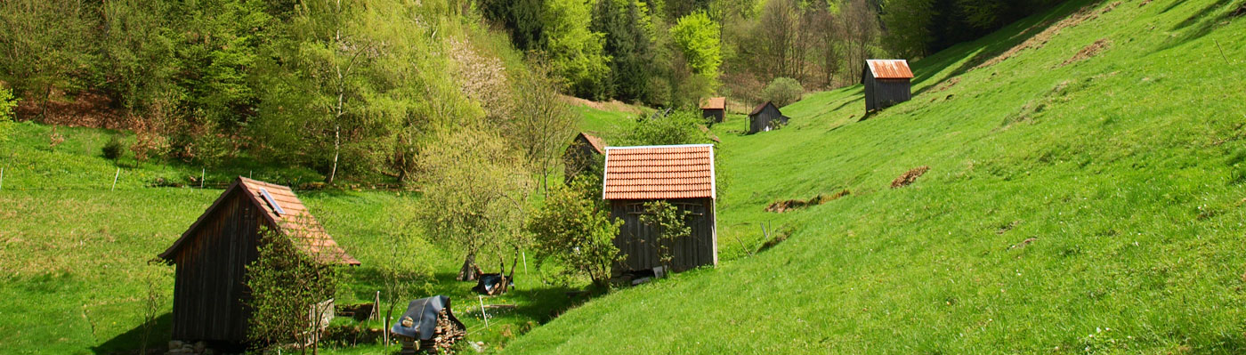 Typische tiroler Heuhütten stehen in Wiesental