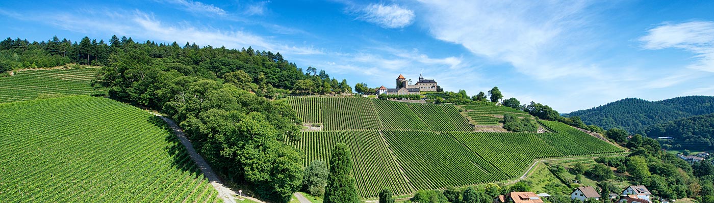 Blick auf Schloss Eberstein, der nördlichste Weingut der Ortenau - Foto: Schloss Eberstein