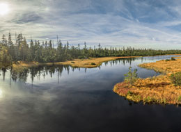 Hohlohsee Kaltenbronn im Naturpark Schwarzwald