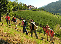 Wanderer im Weinberg, im Hintergrund Schloss Eberstein