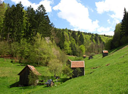 Brunnwiesental in Reichental mit Heuhütten