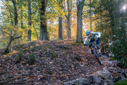 Mountainbikerin in voller Fahrt auf einem Waldgelände.