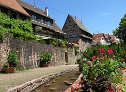 Ansicht Stadtmauer mit Zehntscheuern