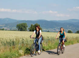 Radfahrer im Rheintal