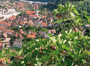 Blick auf die Dächer von Obertsrot, im Vordergrund Rhododendren