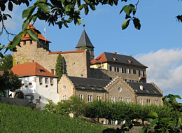 Blick auf Schloss Eberstein mit Weinberg im Vordergrund