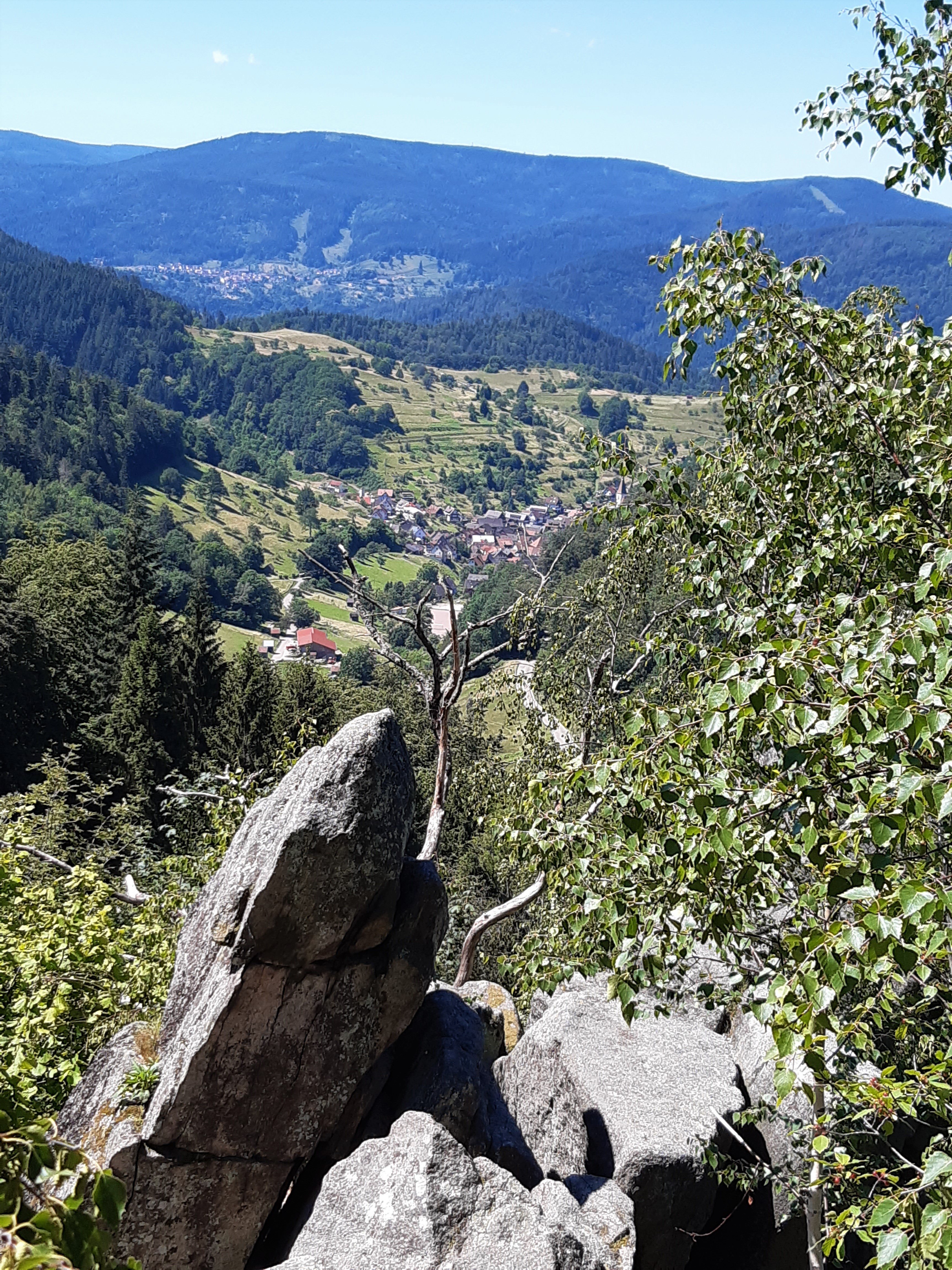 Kunstweg am Reichenbach Bachlauf mit zugewachsenen Steinen im Reichenbachtal