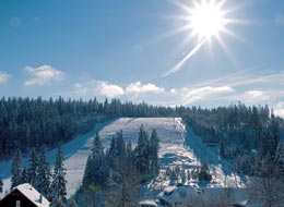 Der Skihang Kaltenbronn, eine verschneite Winterlandschaft