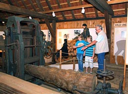 Menschen betrachten die Vollgatter-Säge im Waldmuseum