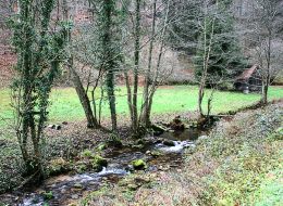 Reichenbach Reichenbach