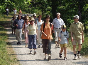 eine Gruppe Wanderer auf einem geschotterten Weg im Laubwald