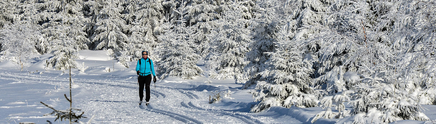 Langläufer auf dem Kaltenbronn